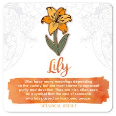 a card with an orange flower on it and the words lily written in bold font