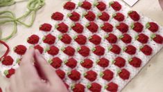 someone is crocheting red and white flowers on a blanket