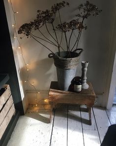 a potted plant sitting on top of a wooden table