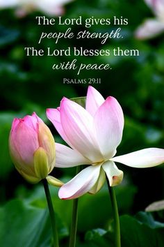 two pink lotuss with the words, the lord gives his people strength and the lord releases them with peace