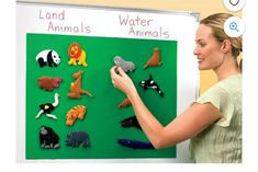 a woman standing in front of a green board with magnets and animals on it