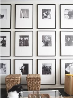 a black and white cat sitting on top of a glass table in front of pictures