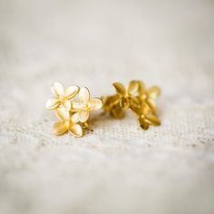 The Tria Blossom Earrings (Forget me nots) Gold Flower Cluster Earrings, Mustard Seed Necklace, Locket Ring, Kim Deal, Coupon Spreadsheet, Coupon Binder, Forget Me Nots, Discount Promotion, Gifts For My Sister