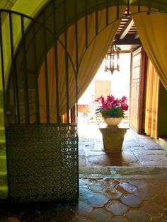 a potted plant sitting on top of a stone floor next to an open doorway