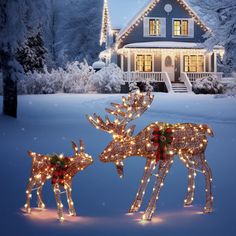 two lighted reindeer standing in front of a house