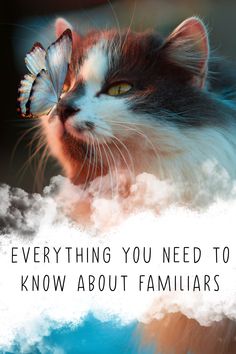 Cats as familiars in the world of magic and witchcraft Witchy Mom, Pure Instinct, Psychic Development Learning, Psychic Development, Witchy Things, Online Class, A Lion, The Craft, Psychic