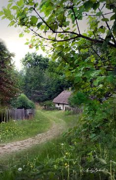 a dirt road in the middle of a lush green field next to a small house