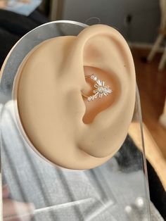 a close up of an ear with a ring on it's middle part, in a display case