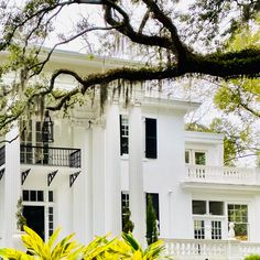 a large white house with lots of windows