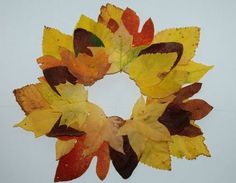 an arrangement of leaves arranged in a circle on top of a white surface with water droplets