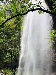 a large waterfall in the middle of a forest