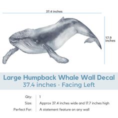 the large humpback whale wall decal is shown with measurements for each piece