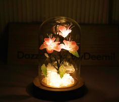 flowers in a glass dome with light inside