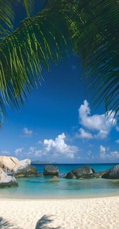 a beach with rocks and palm trees in the foreground, blue water and clouds in the background