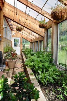 an indoor greenhouse filled with lots of green plants