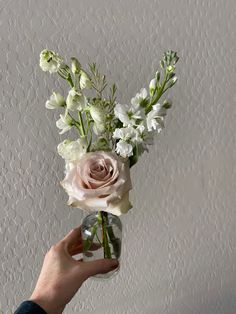 a person holding a vase with flowers in it on the wall behind them is a white textured background