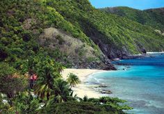 the beach is surrounded by lush green trees