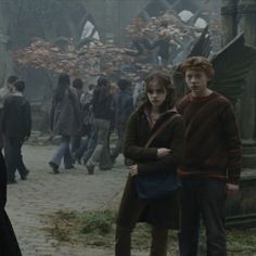 harry potter and the deathly hall cast in a scene from the movie fantastic beasts