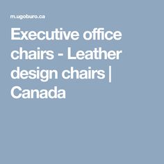 the executive office chairs - leather design chairs canada logo on a light blue background with white lettering