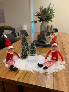 three elfs sitting on top of a table in the snow with a cat behind them