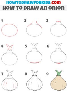 how to draw an onion step by step drawing instructions for kids and beginners with pictures