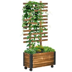 a wooden planter filled with lots of green plants