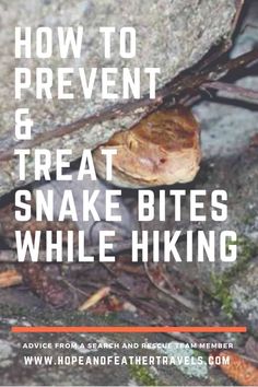 a snail crawling on the ground with text overlay that reads how to prevent and treat snake bites while hiking