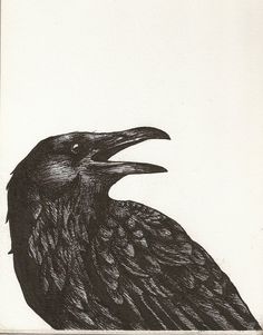 a drawing of a black bird with its beak open