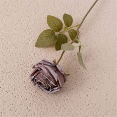 a single flower that is laying on the ground