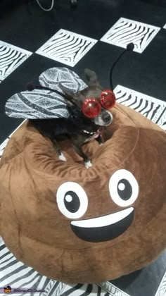 a dog sitting on top of a bean bag chair with eyes drawn on it's face