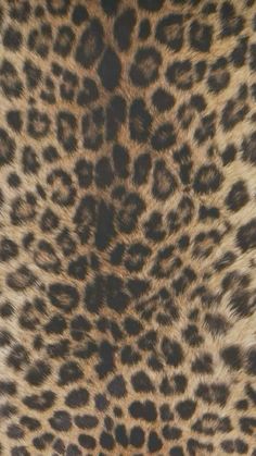 an animal print pattern is shown in brown and black colors on the skin of a cheetah