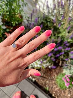 Jelly pink korean gel syrup nails valla berry pink nail inspo summer nails Syrup Nails, Hot Pink Nail Designs, Hot Pink Nail, Pink Nail Inspo, Pink Korean, Classic Nail Art, Glitter Liner, Hot Pink Nails, Light Nails