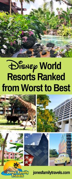 disney world resort named from worst to best with the title overlaying it's image