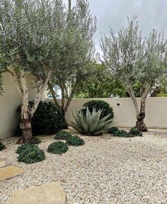 an outdoor area with rocks, trees and gravel