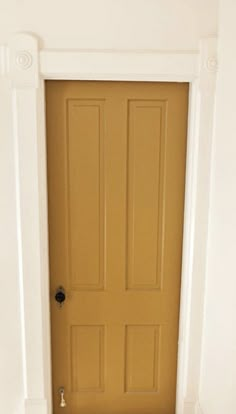 a cat sitting on the floor in front of a yellow door with two white pillars