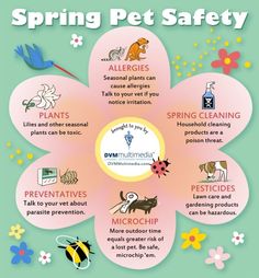 a flower with the words spring pet safety written in different languages and pictures on it