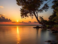 the sun is setting over water with rocks on the shore and trees in the foreground