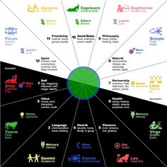 a circular diagram with different types of animals and their names in each circle on it