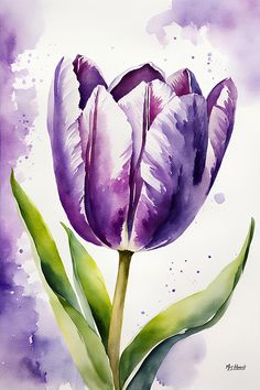 a watercolor painting of a purple tulip