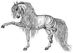 an ink drawing of a horse with long manes and tail, standing on its hind legs