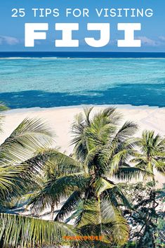 palm trees on the beach with text overlay that reads 25 tips for visiting fiji