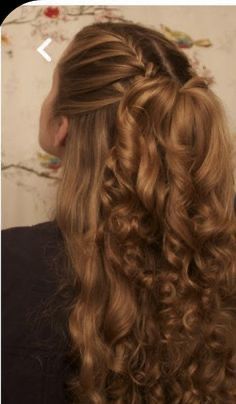 Japanese Ponytail, French Braid, Long Curly, Ponytail Hairstyles