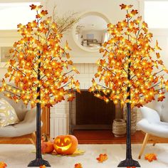 two lighted trees in the middle of a living room with pumpkins on the floor