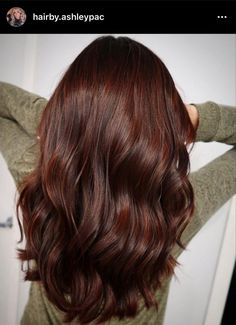 Brunette Reddish Hair, Brown Hair With Red Glaze, Chestnut Auburn Brown Hair, Brownish Redish Hair Color, Reddish Chestnut Brown Hair, Chocolate Brown Hair With Red Lowlights, Deep Cinnamon Hair Color, Reddish Brown Hair Color Ideas, Mocha Red Brown Hair