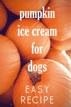 pumpkin ice cream for dogs with text overlay that reads easy recipe for pumpkin ice cream for dogs