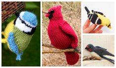 four different knitted bird ornaments hanging from a tree branch, one is red and the other is blue