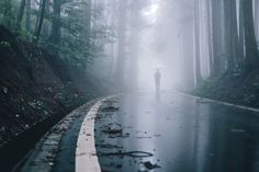 a person standing in the middle of a road surrounded by tall trees and foggy skies