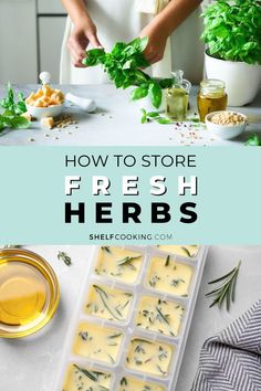 how to store fresh herbs in an ice tray and then put them in the freezer