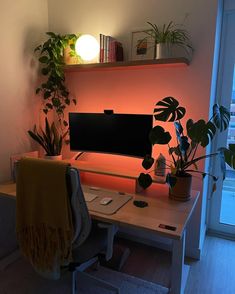 a desk with a computer and some plants on it