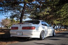 a white car is parked on the side of the road next to some pine trees